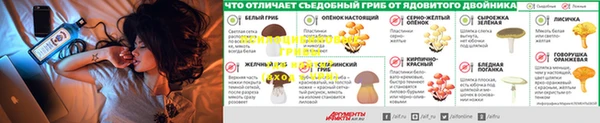 винт Армянск